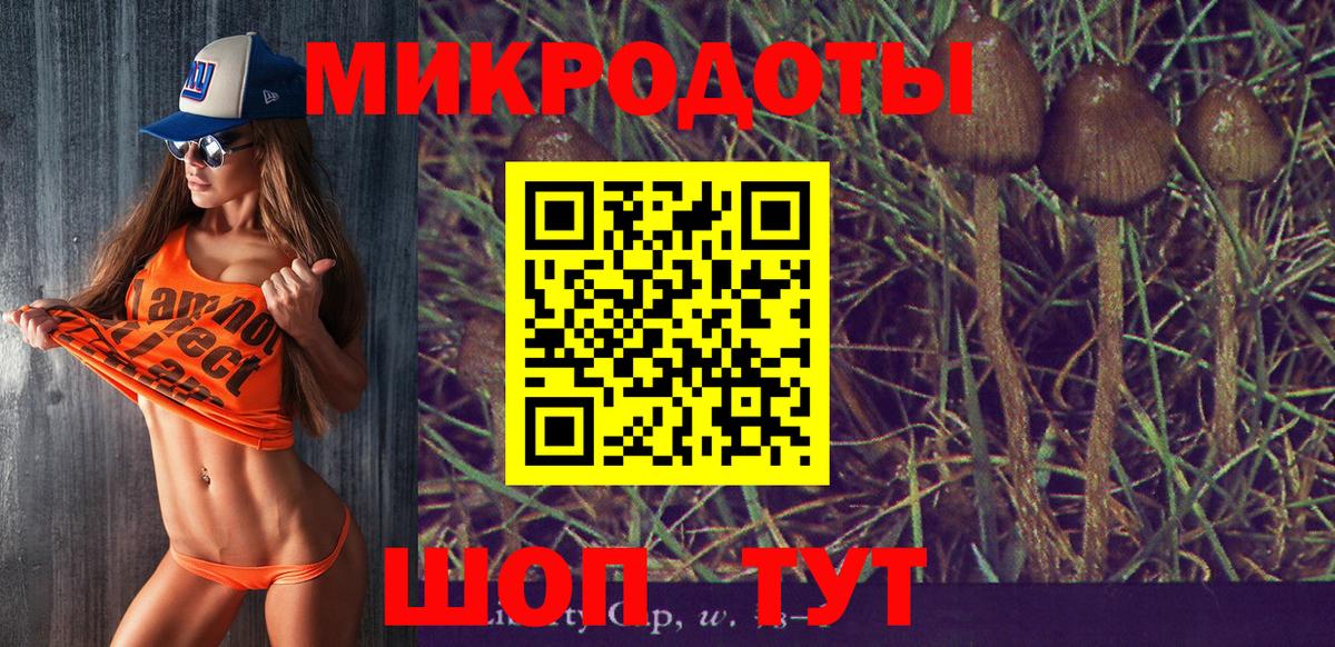 Каменск-Шахтинский  Галлюциногенные грибы MAGIC MUSHROOMS  Вход с VPN 