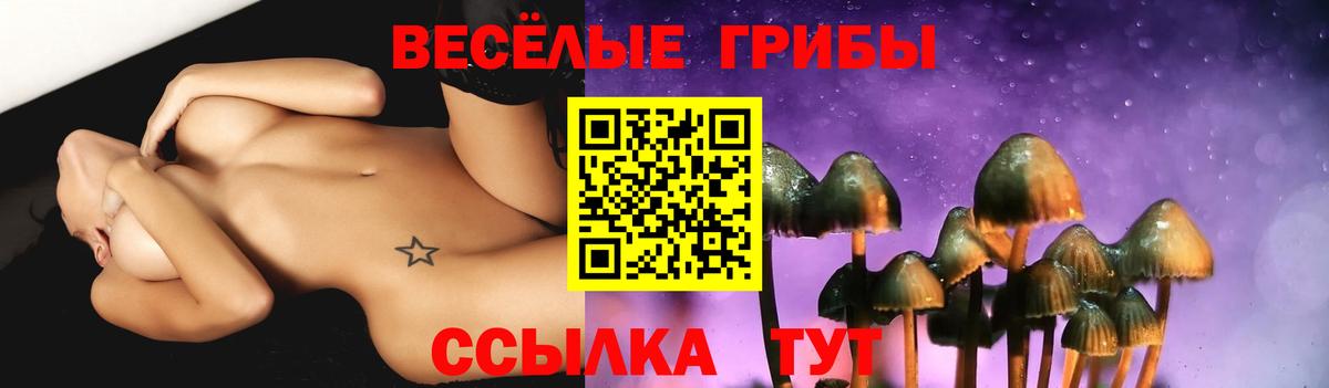Галлюциногенные грибы GOLDEN TEACHER Каменск-Шахтинский